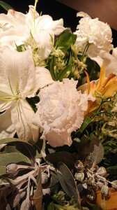 DSC_9748~2.JPG