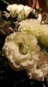 DSC_0096~2.JPG