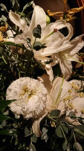 DSC_0828~2.JPG