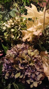 DSC_1190~2.JPG